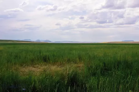 Muddy Creek Ranch, Cascade, MT 59421 photo 9