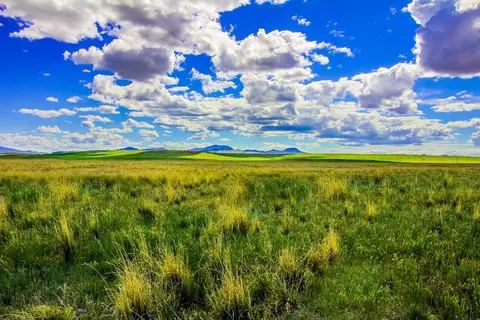Muddy Creek Ranch, Cascade, MT 59421 photo 6