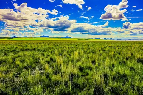 Muddy Creek Ranch, Cascade, MT 59421 photo 18