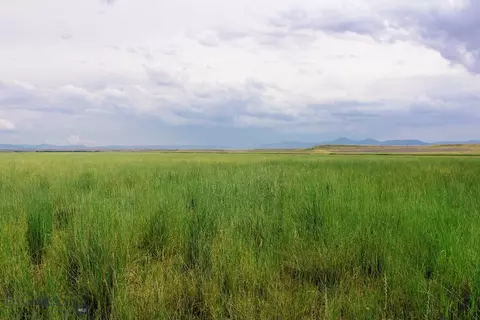Muddy Creek Ranch, Cascade, MT 59421 photo 3