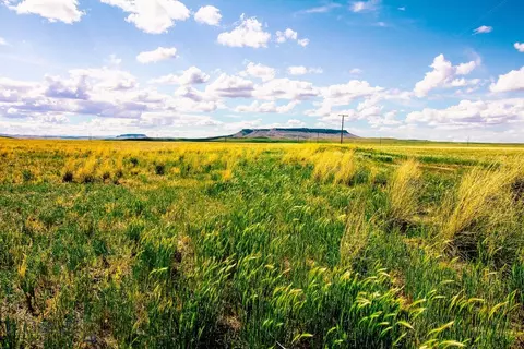 Muddy Creek Ranch, Cascade, MT 59421 photo 38
