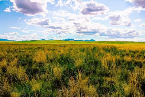 Muddy Creek Ranch, Cascade, MT 59421 photo 20