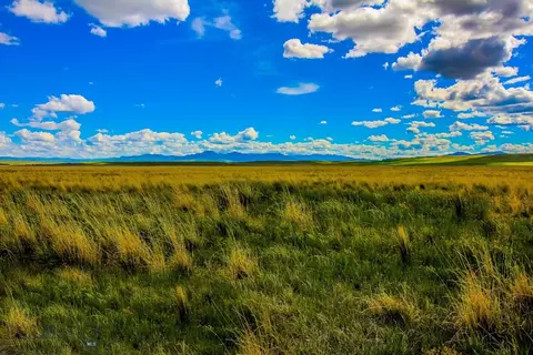 Muddy Creek Ranch, Cascade, MT 59421 photo 8