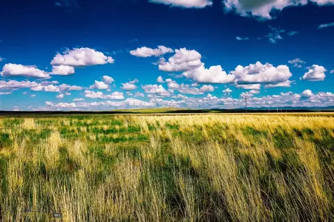 Muddy Creek Ranch, Cascade, MT 59421 photo 12