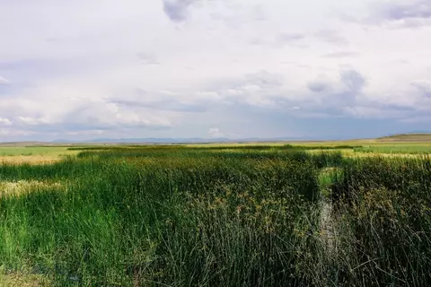 Muddy Creek Ranch, Cascade, MT 59421 photo 15