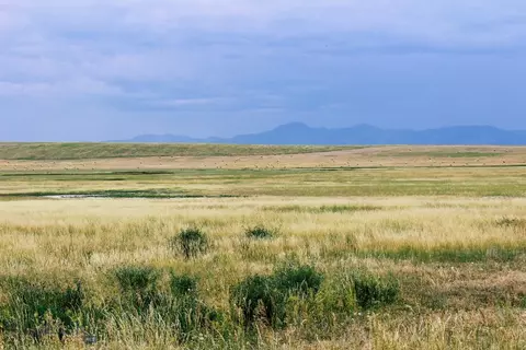 Muddy Creek Ranch, Cascade, MT 59421 photo 31