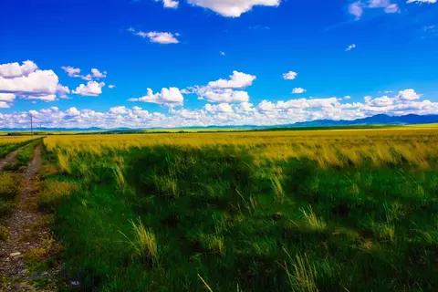 Muddy Creek Ranch, Cascade, MT 59421 photo 10