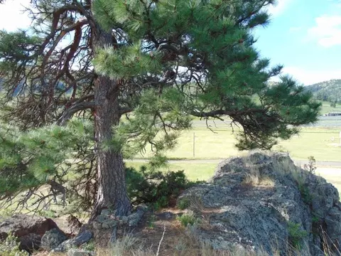 47 Dearborn River Rd, Cascade, MT 59421 photo 42