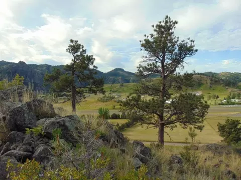 47 Dearborn River Rd, Cascade, MT 59421 photo 7