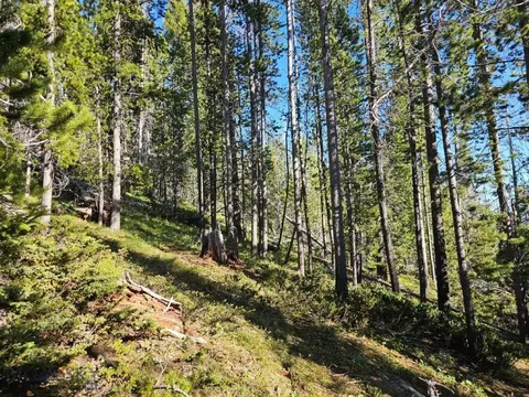 Undisclosed, Boulder, MT 59632 photo 17