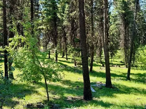 321 Stagecoach Dr, Seeley Lake, MT 59868