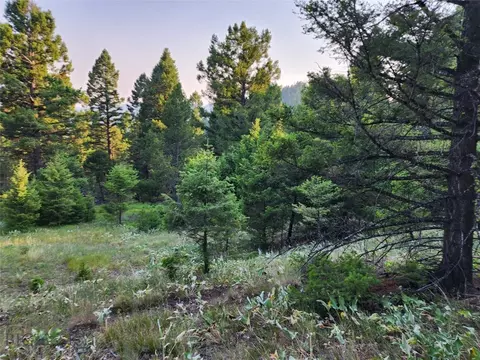 lot60 63 Moonrise Rd, Drummond, MT 59832
