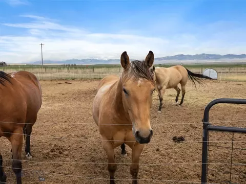 663 Saddle Dr, Dillon, MT 59725 photo 51