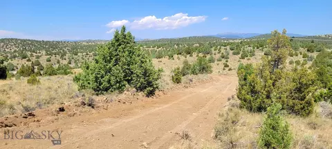 Undisclosed, Alder, MT 59710 photo 7