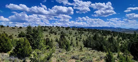 Undisclosed, Alder, MT 59710 photo 5