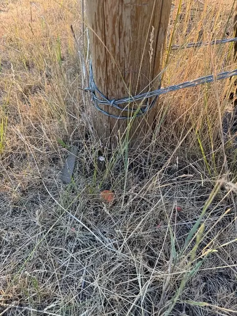 Nhn Corbin Road, Jefferson City, MT 59638 photo 31
