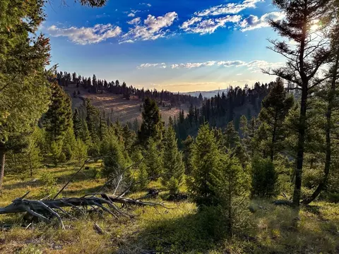 Nhn Wapiti Road, Philipsburg, MT 59858