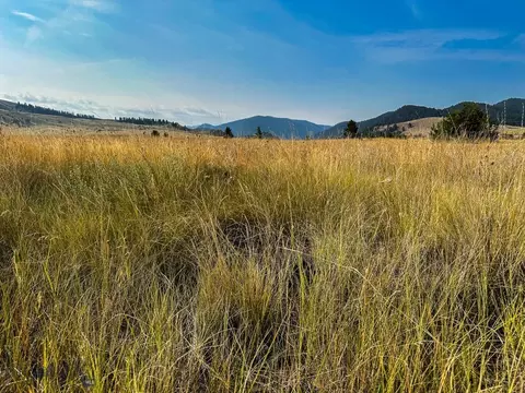 Lot 22 Greystone, Philipsburg, MT 59858
