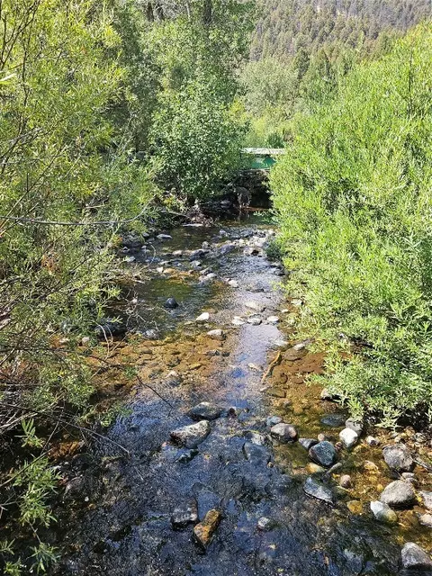 Nhn Jerry Creek Road, Wise River, MT 59762