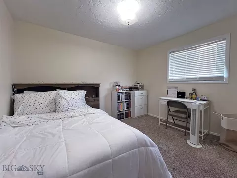 233 Buffalo Dr, Dillon, MT 59725 photo 12