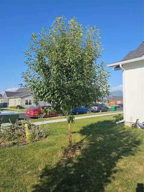 3290 Breeze Ln, Bozeman, MT 59718 photo 15