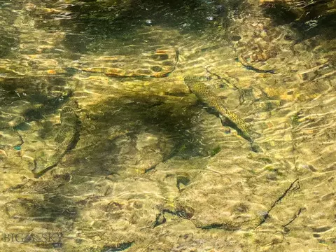 tbd Little Wolf Creek Rd, Wolf Creek, MT 59648