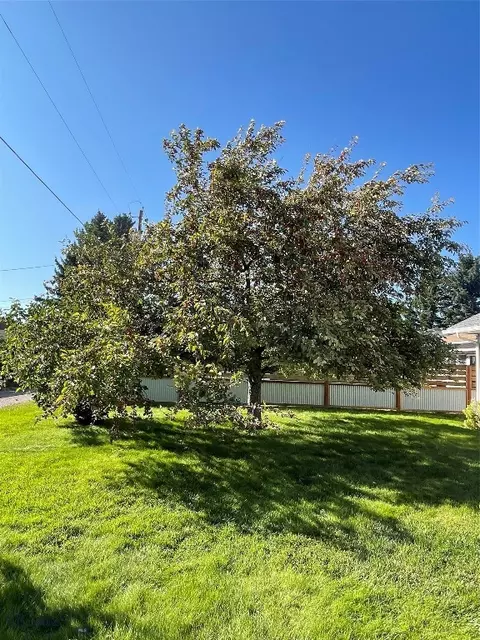 1132 E Center St, Dillon, MT 59725 photo 43