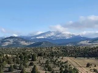 219 Ac Mill Gulch Rd, Sheridan, MT 59749