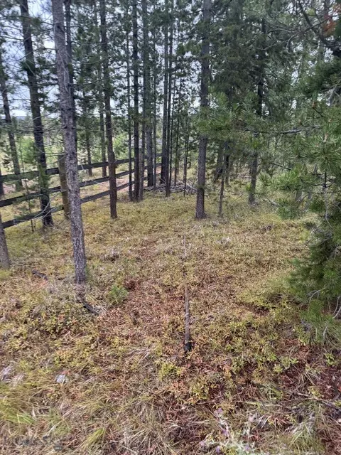 tbd Mountain View Ests #LOT 8, Anaconda, MT 59711