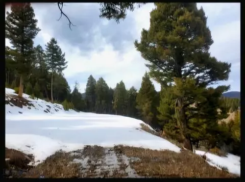 tbd Copper Cross Apt 3969 Moffet Gulch Rd, Divide, MT 59743