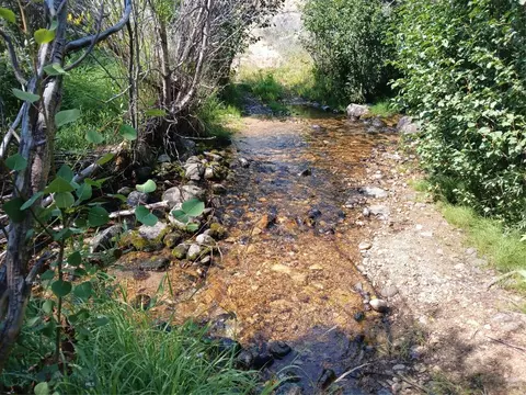 tbd Rainey Mountain Rd, Polaris, MT 59746
