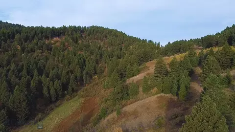 000 Chestnut Rd, Bozeman, MT 59715