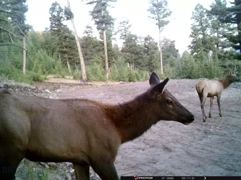 Undisclosed, Melrose, MT 59743 photo 43