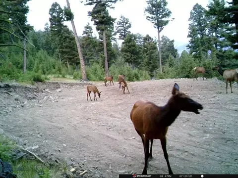 Undisclosed, Melrose, MT 59743 photo 37