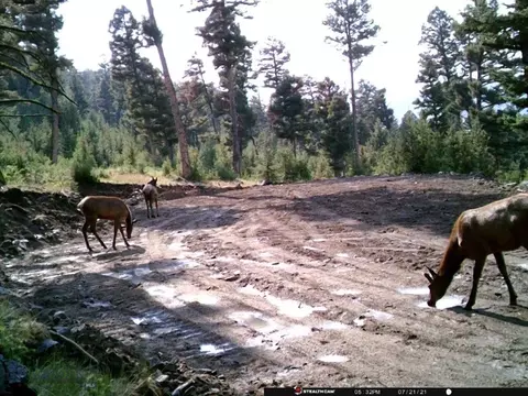 Undisclosed, Melrose, MT 59743 photo 41