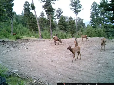 Undisclosed, Melrose, MT 59743 photo 34