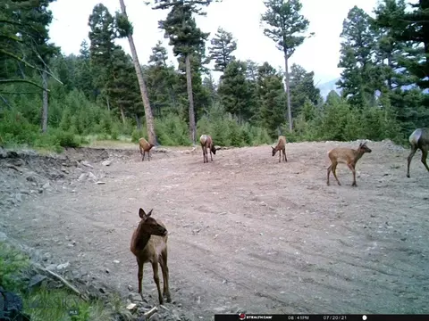 Undisclosed, Melrose, MT 59743 photo 35