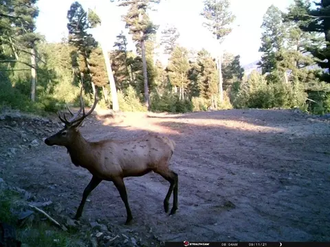 Undisclosed, Melrose, MT 59743 photo 45
