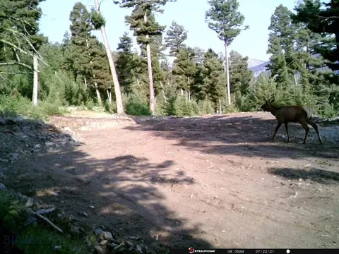 Undisclosed, Melrose, MT 59743 photo 3
