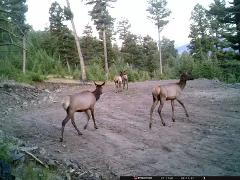 Undisclosed, Melrose, MT 59743 photo 39