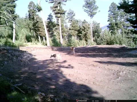 Undisclosed, Melrose, MT 59743 photo 49