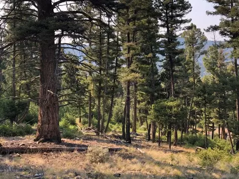 Undisclosed, Melrose, MT 59743 photo 20