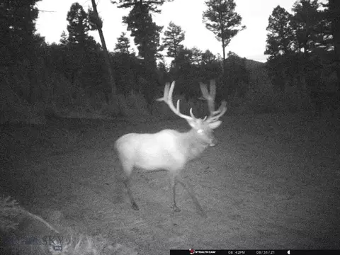 Undisclosed, Melrose, MT 59743