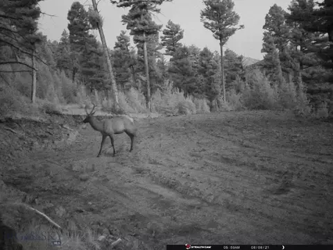 Undisclosed, Melrose, MT 59743 photo 50