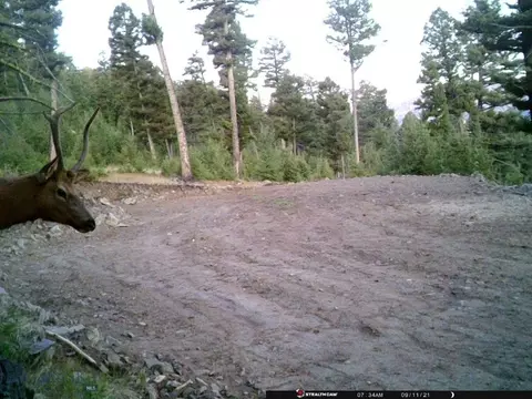 Undisclosed, Melrose, MT 59743 photo 42