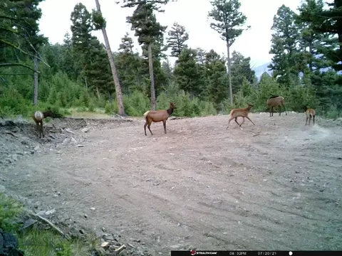 Undisclosed, Melrose, MT 59743 photo 31