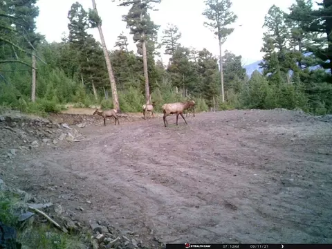 Undisclosed, Melrose, MT 59743 photo 40