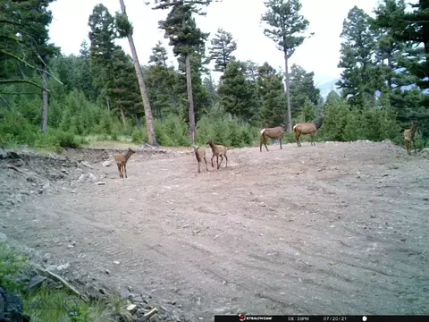 Undisclosed, Melrose, MT 59743 photo 33