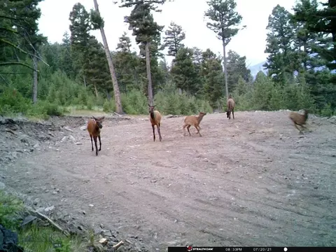 Undisclosed, Melrose, MT 59743 photo 32