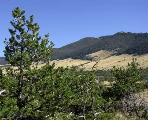 Nhn Awwakkula Way, Bridger, MT 59014
